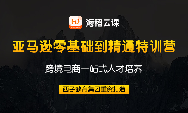 亚马逊零基础到精通特训营